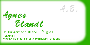 agnes blandl business card